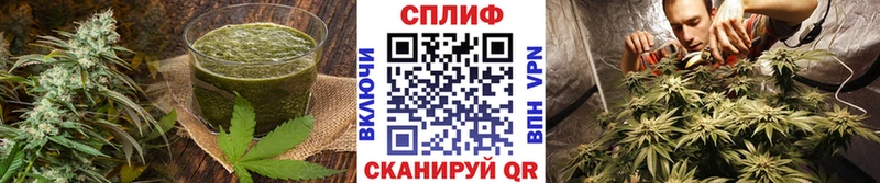 Еда ТГК конопля нарко площадка формула Сольцы где продают mega вход