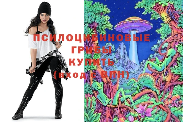 прущие крисы Алексеевка