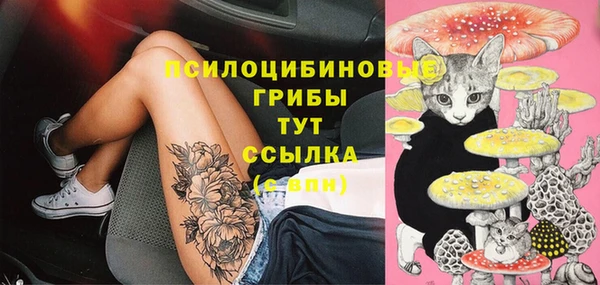 МДПВ Алексин